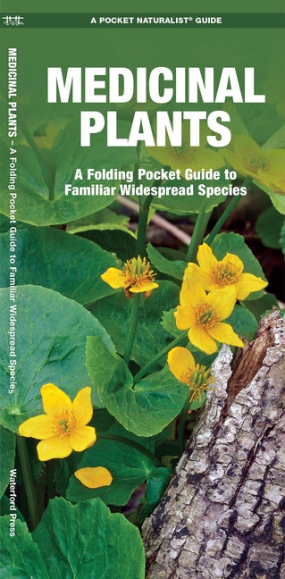 Medicinal Plants: An Introduction to Familiar North American Species - Ingram