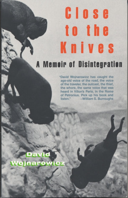 Close to the Knives: A Memoir of Disintegration - Ingram