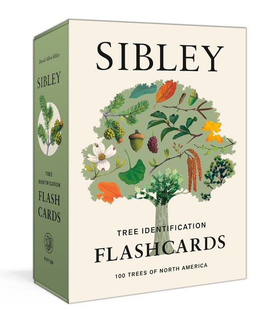 Sibley Tree Identification Flashcards: 100 Trees of North America - Ingram