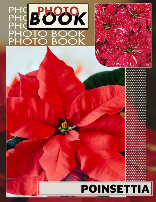 Poinsettia Photo Book: Beautiful Floral Imagery Featuring 40 Stunning Poinsettia Designs For Unique Gifts - Ingram