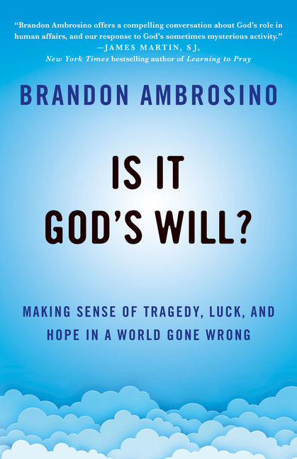 Is It God's Will?: Making Sense of Tragedy, Luck, and Hope in a World Gone Wrong - Ingram