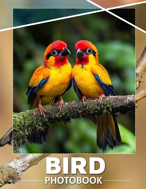 Bird Photo Book: Inspirational Collection Featuring Stunning Bird Images From Various Habitats - Ingram