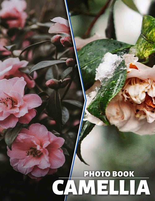 Camellia Photo Book: Stunning Floral Images Featuring Camellia Blooms For Nature Lovers and Garden Enthusiasts - Ingram