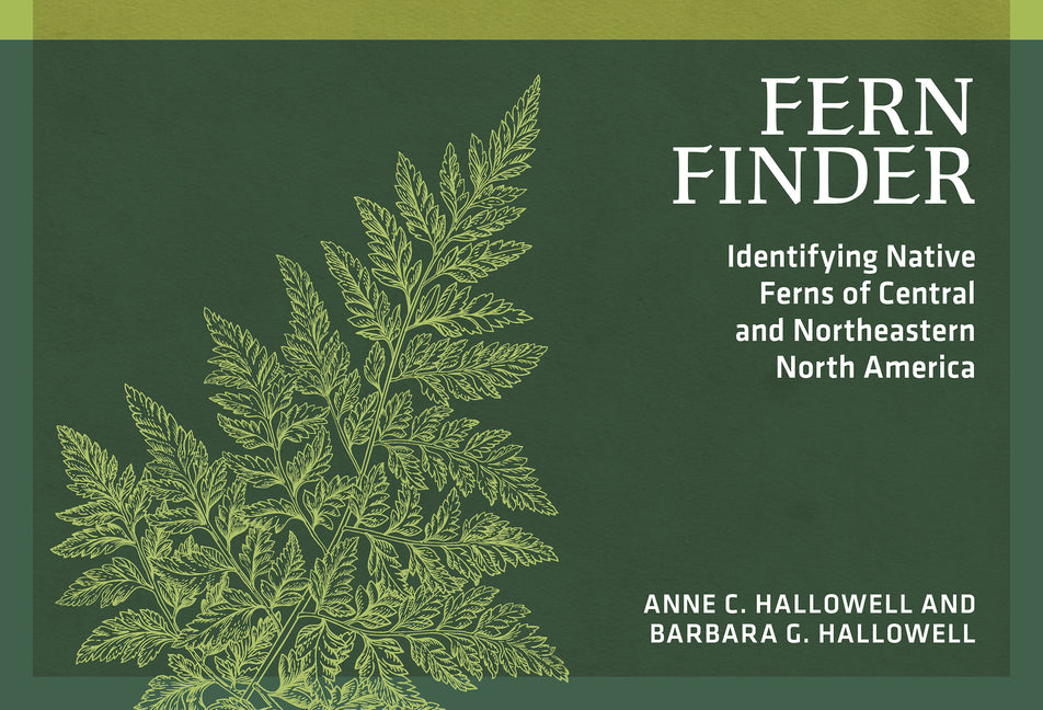 Fern Finder: Identifying Native Ferns of Central and Northeastern North America (Revised) - Ingram