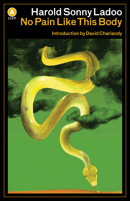 No Pain Like This Body - Ingram