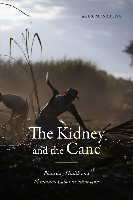 Kidney and the Cane: Planetary Health and Plantation Labor in Nicaragua - Ingram