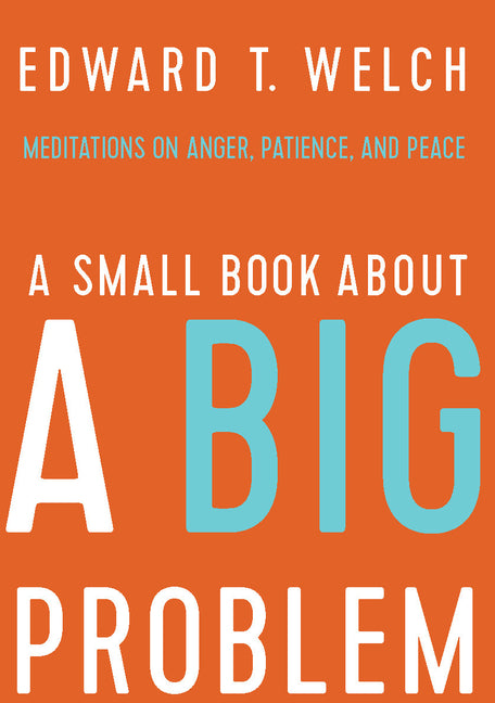 Small Book about a Big Problem: Meditations on Anger, Patience, and Peace - Ingram