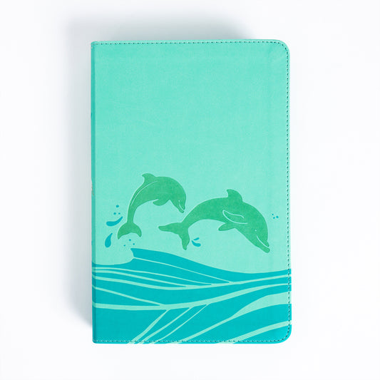 KJV Easy-For-Me Bible for Early Readers, Seafoam Leathertouch - Ingram