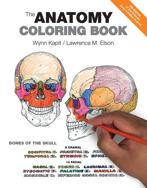 Anatomy Coloring Book - Ingram