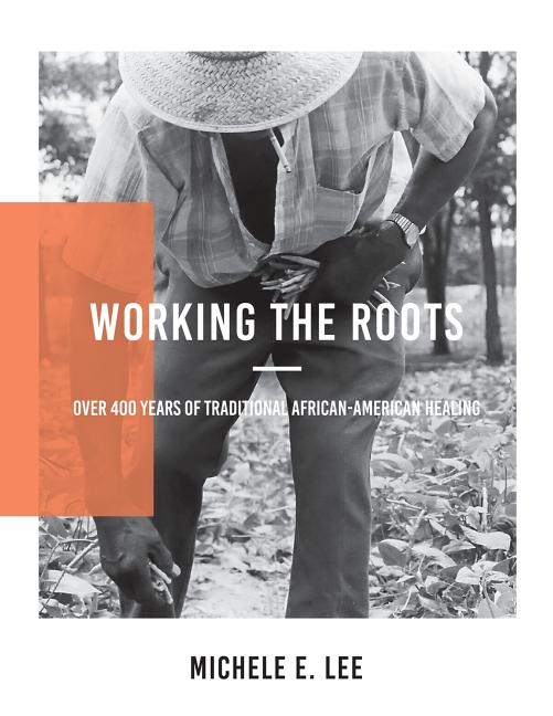Working The Roots: Over 400 Years of Traditional African American Healing - Ingram