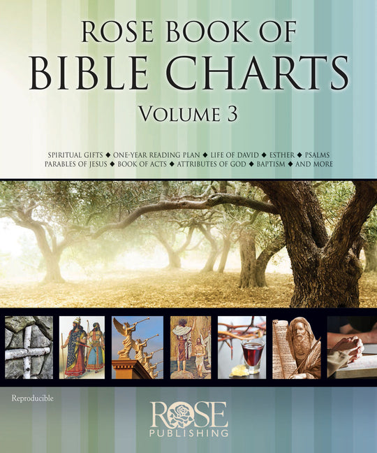 Rose Book of Bible Charts, Volume 3 - Ingram
