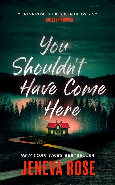You Shouldn't Have Come Here - Ingram