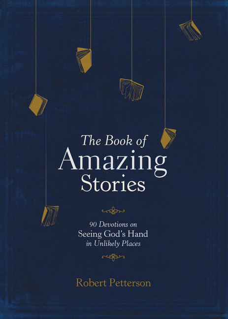 Book of Amazing Stories: 90 Devotions on Seeing God's Hand in Unlikely Places - Ingram