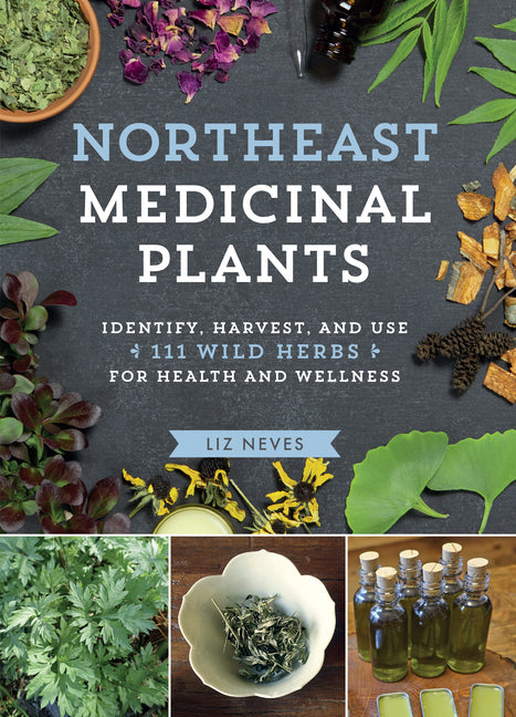 Northeast Medicinal Plants: Identify, Harvest, and Use 111 Wild Herbs for Health and Wellness - Ingram