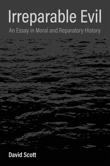 Irreparable Evil: An Essay in Moral and Reparatory History - Ingram