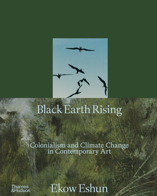 Black Earth Rising: Colonialism and Climate Change in Contemporary Art - Ingram