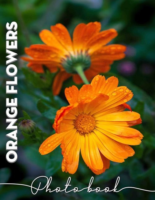 Orange Flowers Photo Book: Delightful Collection Featuring 40 Stunning Images Of Vibrant Floral Blooms - Ingram