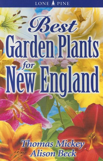 Best Garden Plants for New England - Ingram