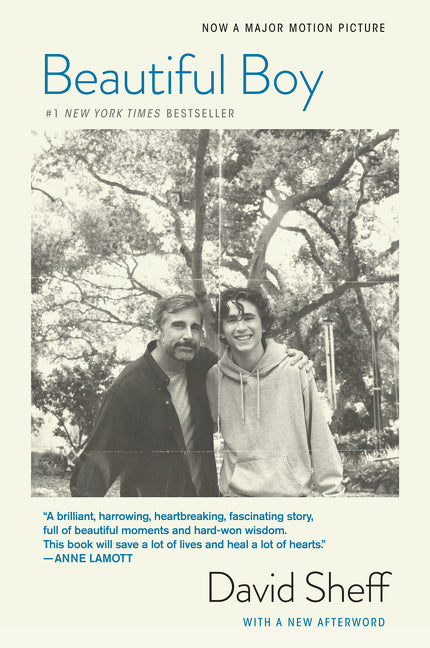 Beautiful Boy (Tie-In): A Father's Journey Through His Son's Addiction - Ingram