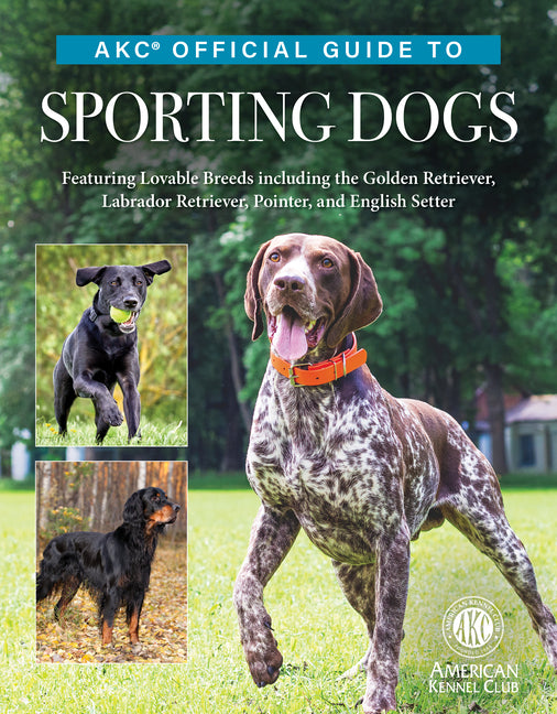 Akc Official Guide to Sporting Dogs: Featuring Lovable Breeds Including the Golden Retriever, Labrador Retriever, Pointer, and English Setter - Ingram
