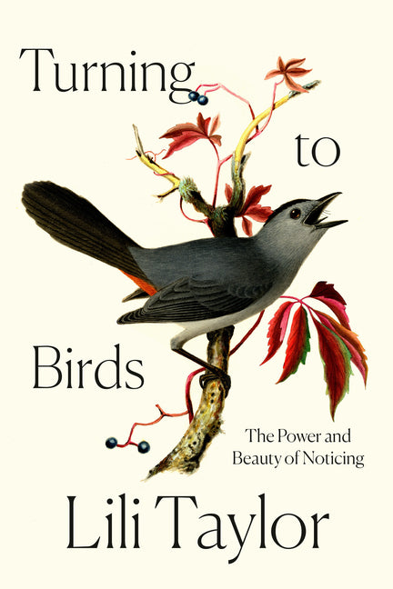 Turning to Birds: The Power and Beauty of Noticing - Ingram