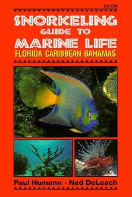 Snorkeling Guide to Marine Life Florida, Caribbean, Bahamas - Ingram