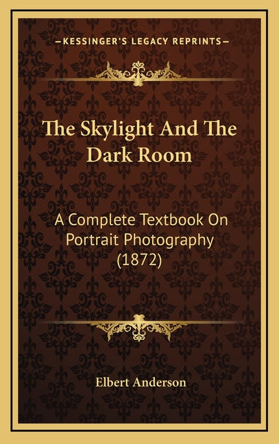 Skylight And The Dark Room: A Complete Textbook On Portrait Photography (1872) - Ingram