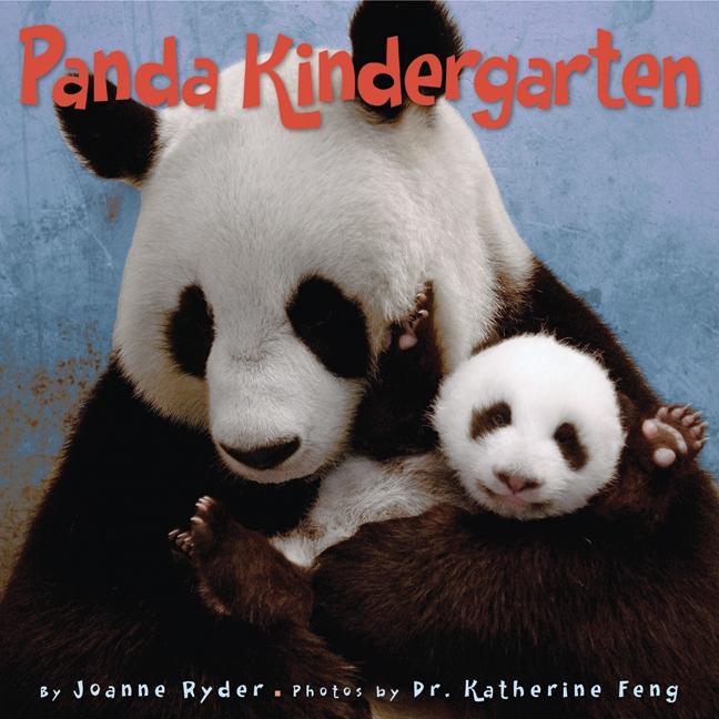Panda Kindergarten - Ingram
