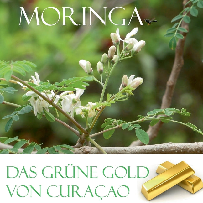 grüne Gold von Curacao: Moringa - Ingram