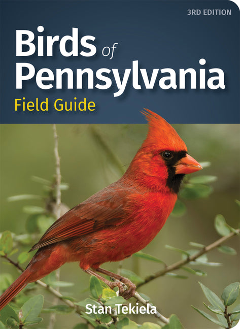 Birds of Pennsylvania Field Guide (Revised) - Ingram