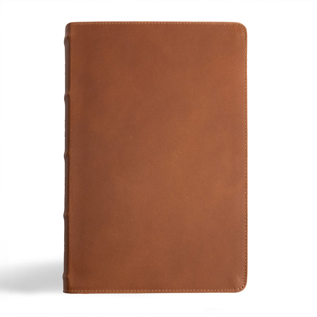 CSB Men's Daily Bible, Brown Genuine Leather, Indexed - Ingram