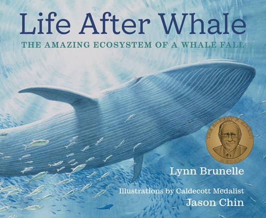 Life After Whale: The Amazing Ecosystem of a Whale Fall - Ingram