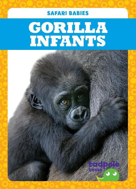 Gorilla Infants - Ingram