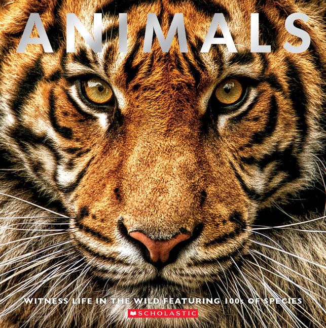 Animals: Witness Life in the Wild Featuring 100s of Species - Ingram
