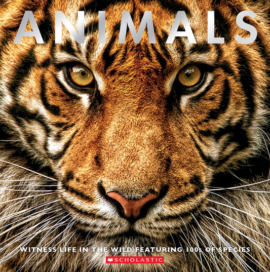 Animals: Witness Life in the Wild Featuring 100s of Species - Ingram