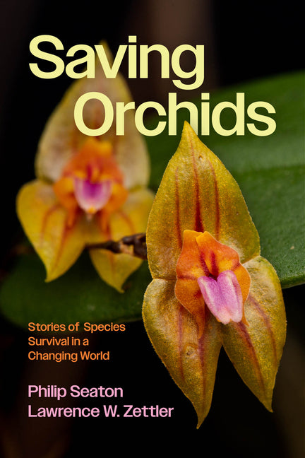 Saving Orchids: Stories of Species Survival in a Changing World - Ingram