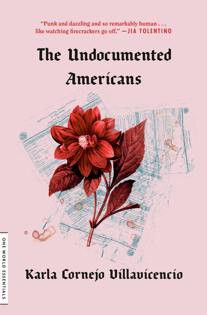 Undocumented Americans - Ingram
