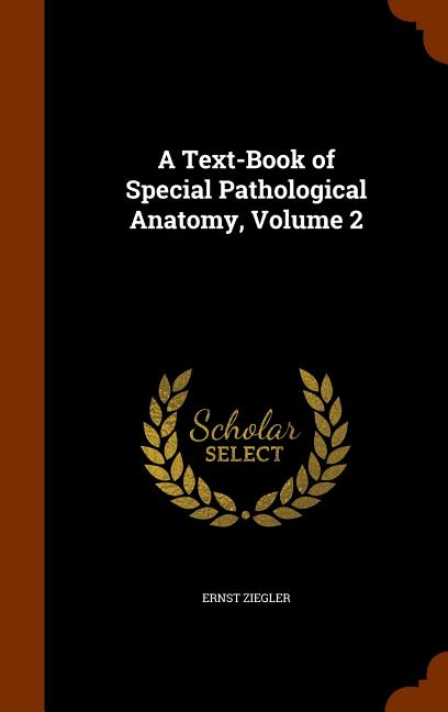 Text-Book of Special Pathological Anatomy, Volume 2 - Ingram