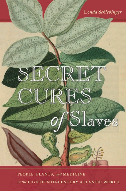 Secret Cures of Slaves: People, Plants, and Medicine in the Eighteenth-Century Atlantic World - Ingram