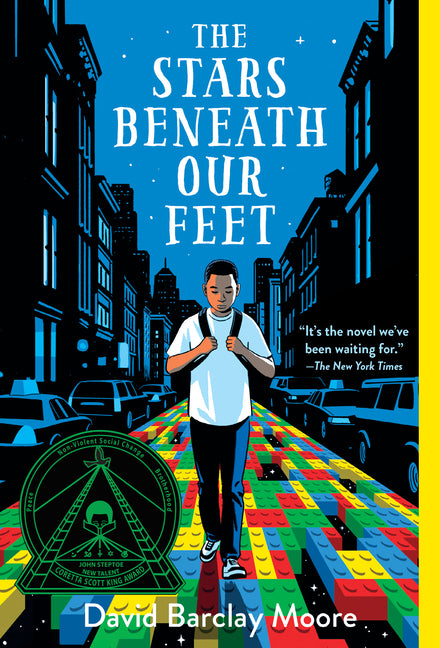 Stars Beneath Our Feet - Ingram