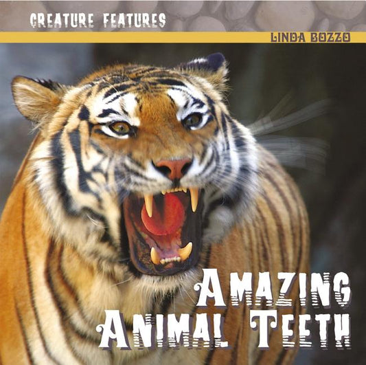 Amazing Animal Teeth - Ingram