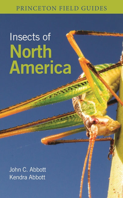Insects of North America - Ingram