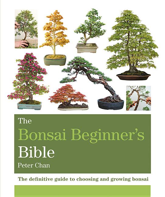 Bonsai Beginner's Bible - Ingram