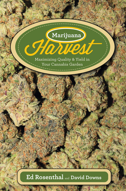 Marijuana Harvest: How to Maximize Quality and Yield in Your Cannabis Garden - Ingram