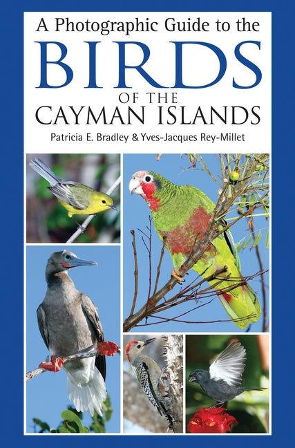 Photographic Guide to the Birds of the Cayman Islands - Ingram