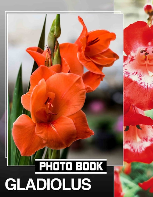 Gladiolus Photo Book: Vibrant Floral Collection Featuring 40 Stunning Images Of Gladiolus Blooms - Ingram