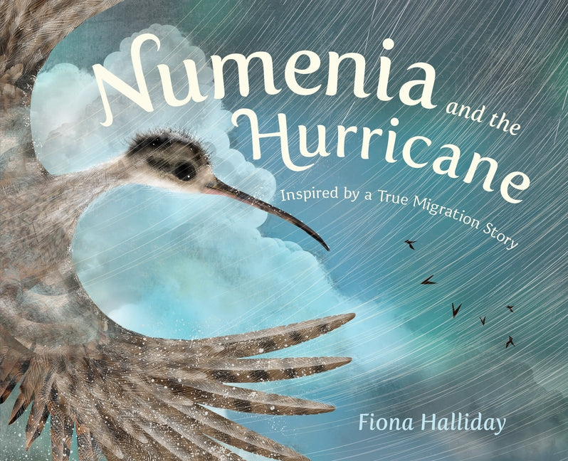 Numenia and the Hurricane: Inspired by a True Migration Story - Ingram