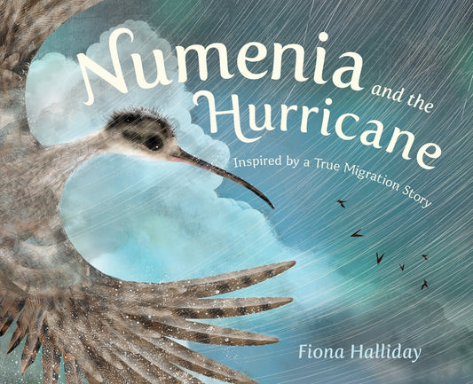 Numenia and the Hurricane: Inspired by a True Migration Story - Ingram