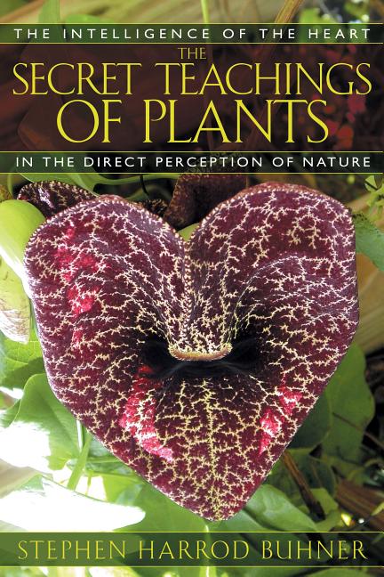 Secret Teachings of Plants: The Intelligence of the Heart in the Direct Perception of Nature (Original) - Ingram