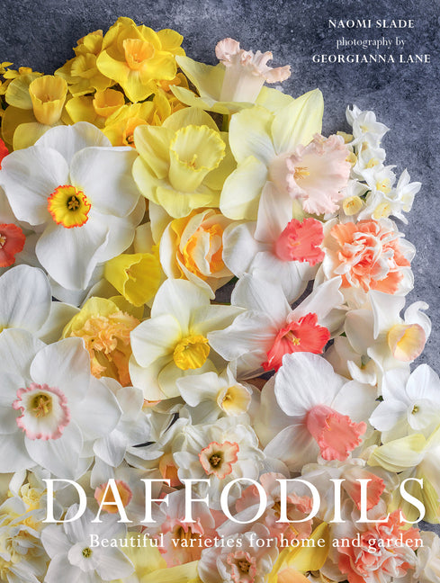 Daffodils: Beautiful Varieties for Home and Garden - Ingram